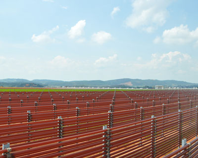 Keeping toxins out of the supply chain