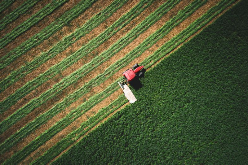 Kellanova and ADM's regenerative agriculture programme enhances soil health across 120,000 acres in south-east US