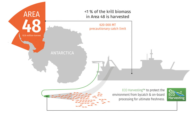 Figure 2: Sustainable sourcing is more important than ever before