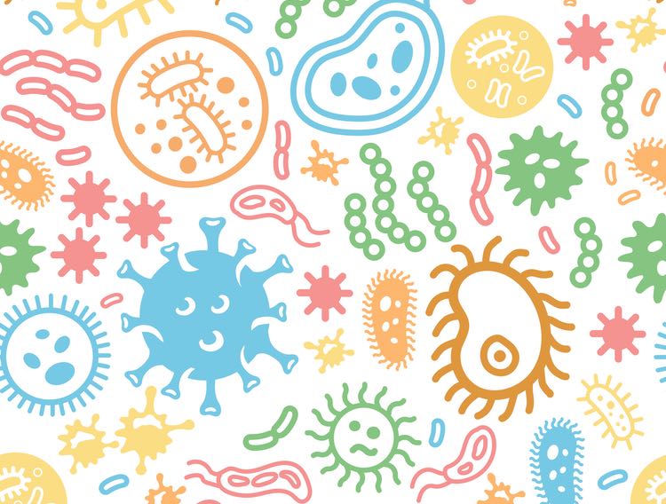 Lallemand collaborates to develop live bacteria COVID-19 treatment
