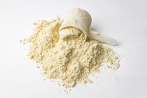 Leaft Foods and Lacto Japan join forces to bring Leaf Rubisco protein to Japanese market