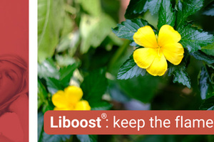 Liboost: keep the flame burning - WATCH NOW