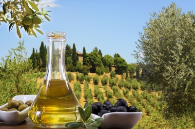 LIVE FROM VITAFOODS: DSM introduces olive-based antioxidant ingredient elaVida