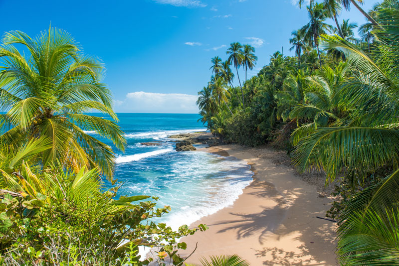 MANE debuts natural tropical flavours inspired by Costa Rican fruits and consumer insights