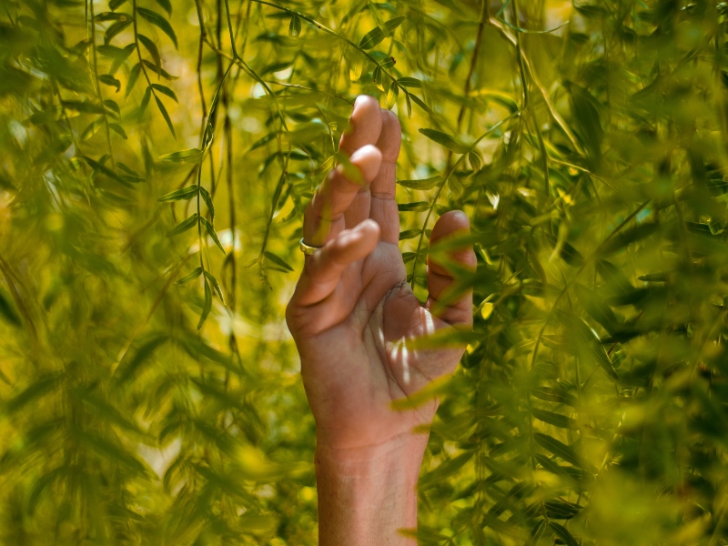 Marinova named Australia’s top organic innovator