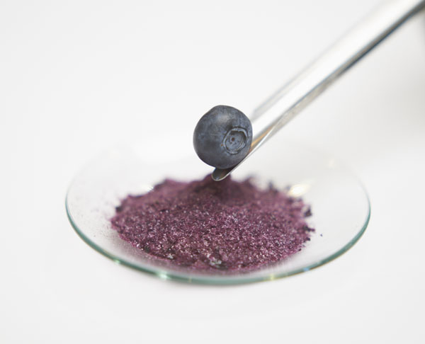 Mazza earns NSF GMP registration for its clean label botanical extraction facility