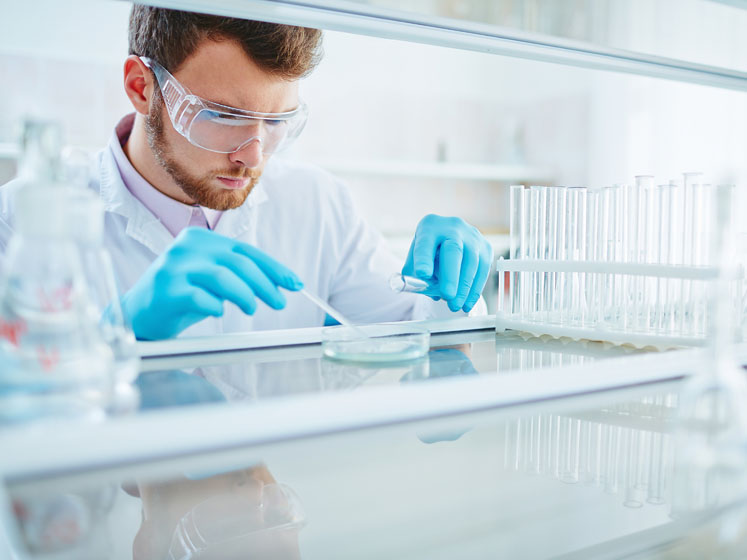 Meeting the global demand for environmentally friendly products starts with CSR 

