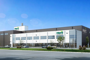 Merit Functional Foods partners with Bunge to bring pea and canola protein to market