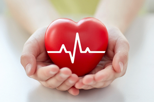 Mitochondrial health linked to cardiovascular wellbeing in new review