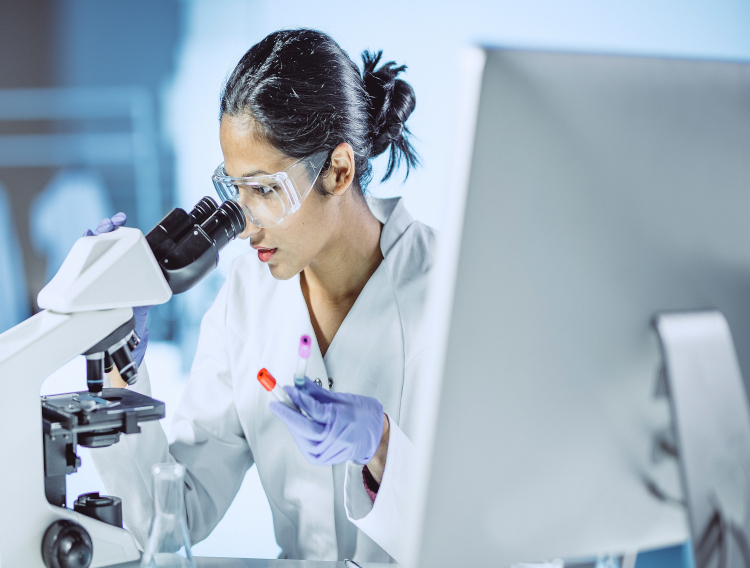 Multidisciplinary research shows impact of Litesse fibre