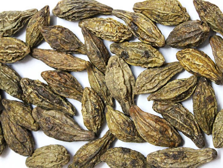 Natreon wins patent for tannoid blend extract 