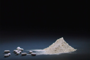 Natural marine collagenic bone powder CalGo is six times more absorbable than calcium carbonate
