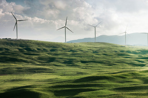 Natural product manufacturer NOW reaches sustainability milestones