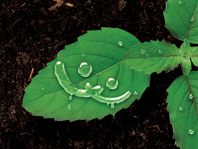 Natural Remedies launches HerbSecure with four GAP certifications