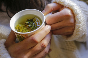 New botanical complex for cold and flu immune support