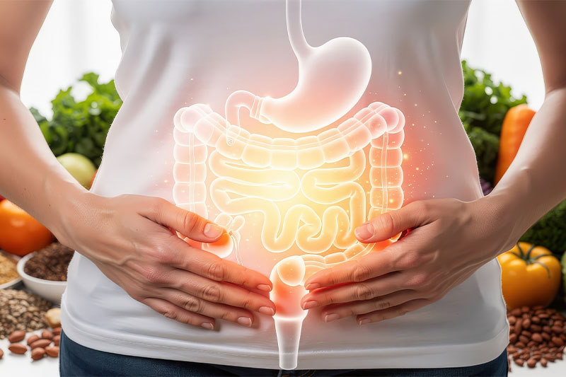 New peer-reviewed clinical study shows Trpti supports the body's natural incretin response
