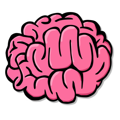 New research discovers how Ahiflower oil helps to fuel healthy brain development