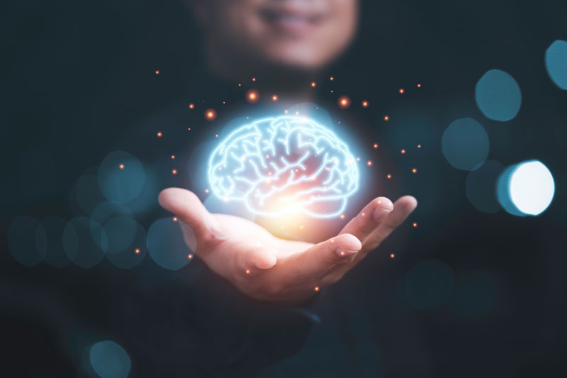 New research discovers how Ahiflower oil helps to fuel healthy brain development