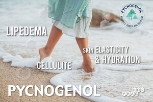 New research on leg comfort and beauty with Pycnogenol