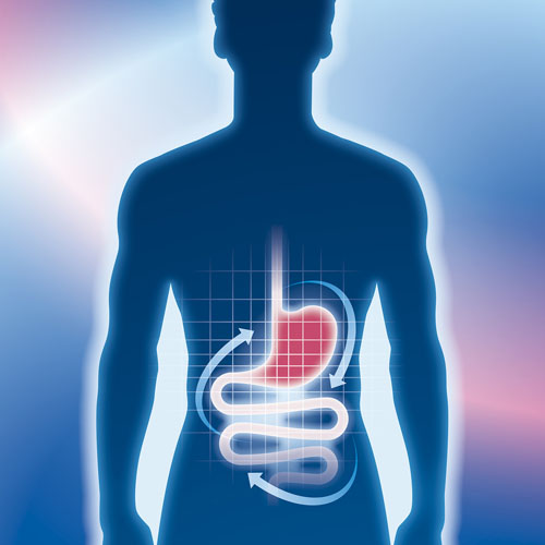 New study confirms Bimuno GOS delivers prebiotic effect at an ultra-low dose