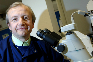 New superfoods could help protein keep bodies healthy