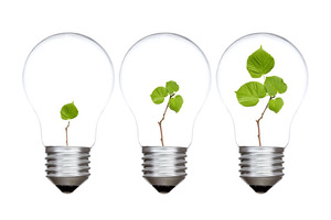 Novozymes and Chr. Hansen announce name of future combined company: Novonesis