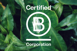 Nutriearth obtains B Corp certification for sustainable vitamin D3