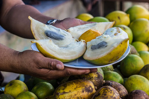 Nutrition industry gives its verdict on new rules for novel foods

