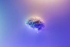 Nutrition21 launches non-stimulant nootropic ingredient