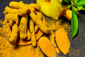 Nutriventia turmeric extract eases delayed muscle soreness