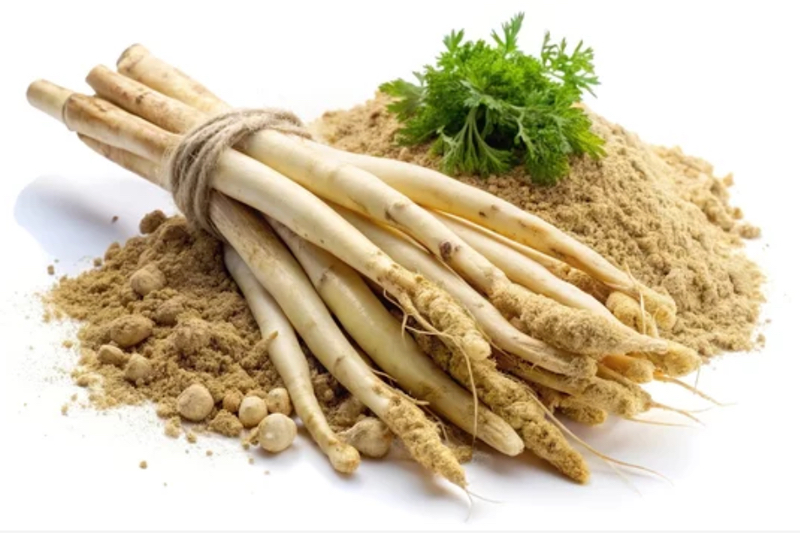 NXT USA launches Ayurvedic women's health ingredient, Xeya Shatavari, at Expo West