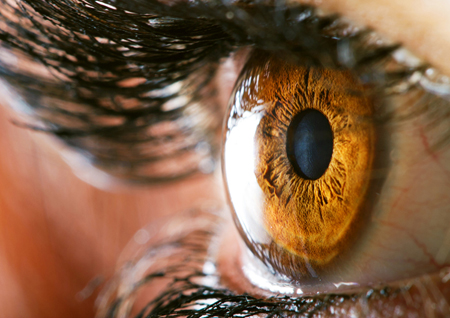 OmniActive recognised by NBJ for elevating vision health awareness