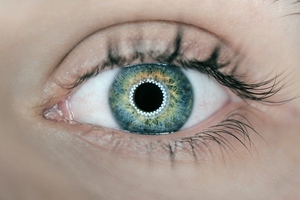 OmniActive uses antioxidants to boost children's eye health