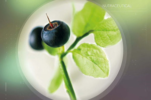 One hundred years of botanical excellence
