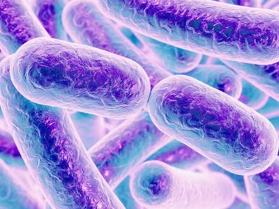 OptiBiotix chooses Japanese LPLDL distributor