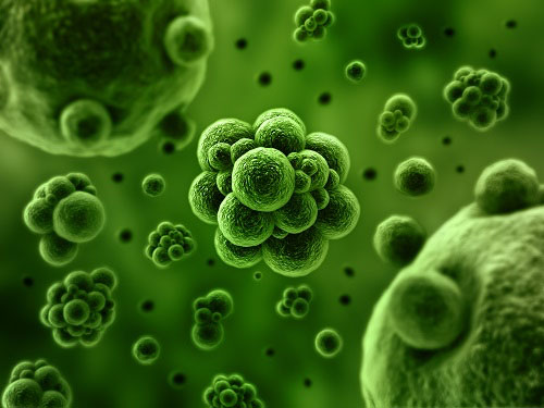 Oral versus colonoscopy faecal microbiota transplantation for recurrent Clostridium difficile