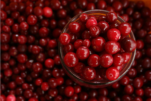 Oregon sees bolstered cranberry harvest