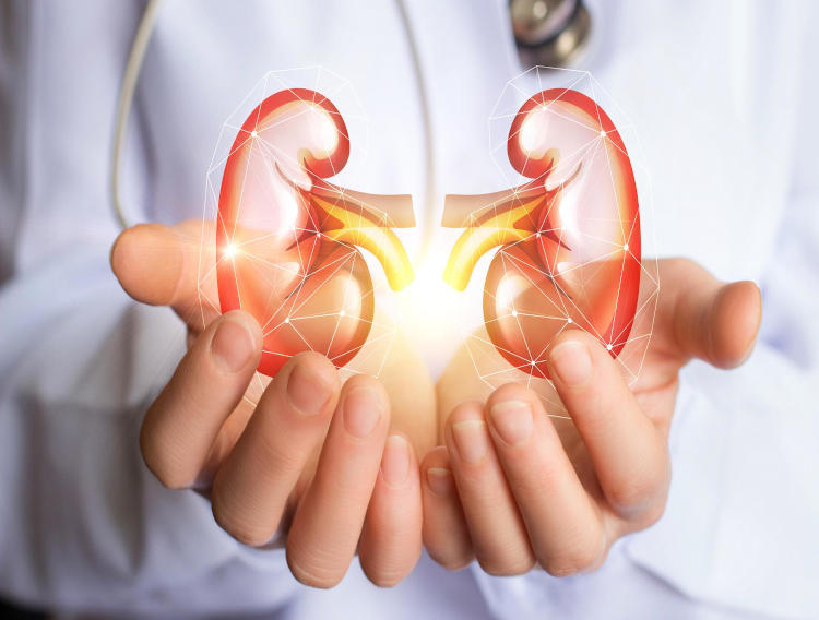 Phase IIB clinical trial shows EVNol SupraBio benefits diabetic nephropathy