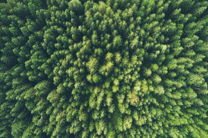 PLT achieves carbon neutral certification