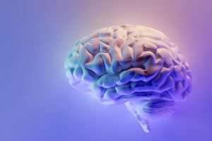 Preclinical study shows natural iminosugar potential for cognitive health