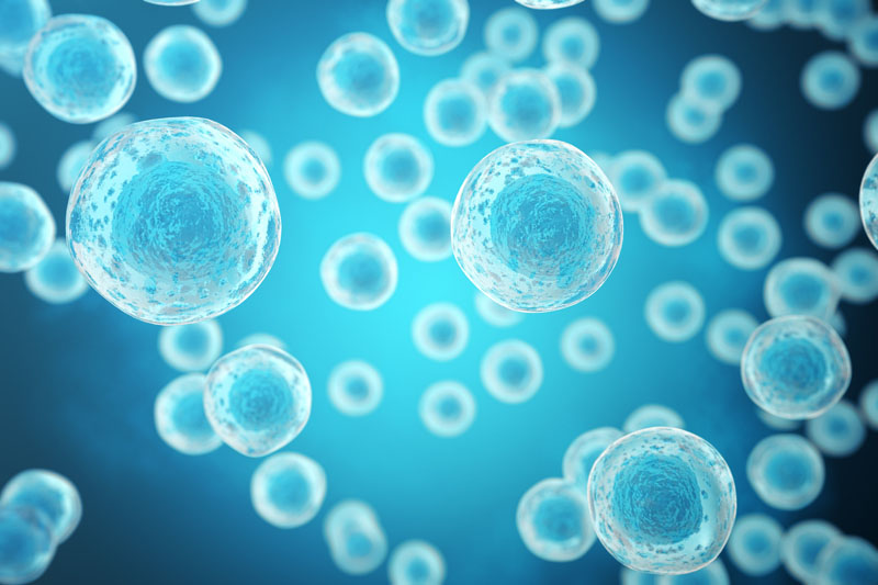 Probi’s largest clinical trial confirms the immune enhancing impact of Probi Defendum