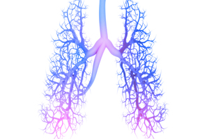 Probiotics associated with fewer upper respiratory symptoms