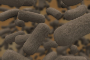 Probiotics: quality assurance begins with strain stability