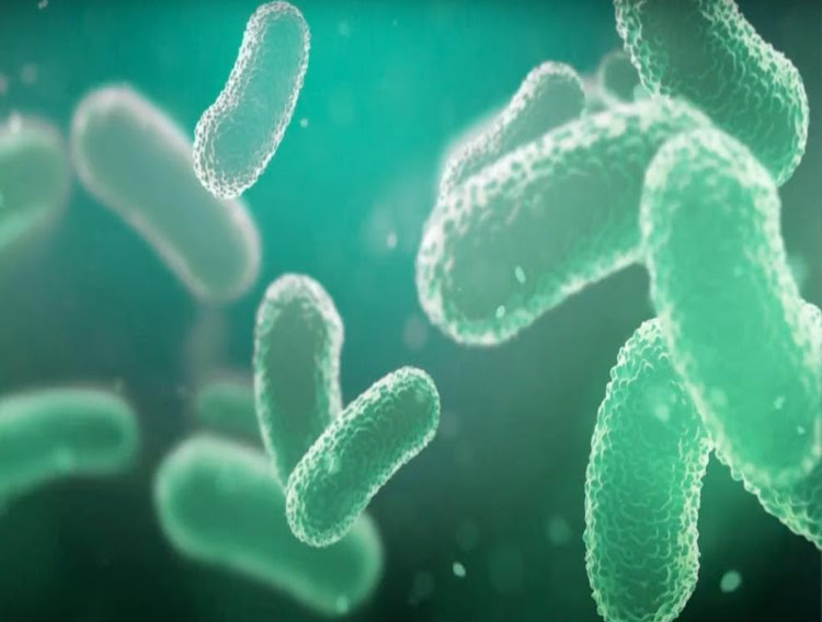 ProBiotix highlights ‘promising findings’ on probiotic for cholesterol reduction