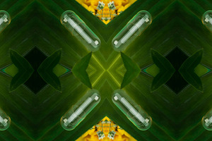 Protecting the integrity of sensitive nutraceutical formulations