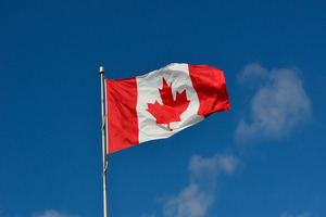 Protein Industries Canada invests in plant-based food project