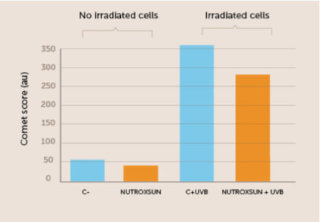 Figure 3. In this in vitro study NutroxSun significantly reduced
DNA breakage, as measured using a standard technique called a Comet assay, which enables researchers to visualise how many DNA fragments are generated in cells exposed to UV radiation.