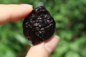Prunes proven to benefit young women at risk of bone density loss