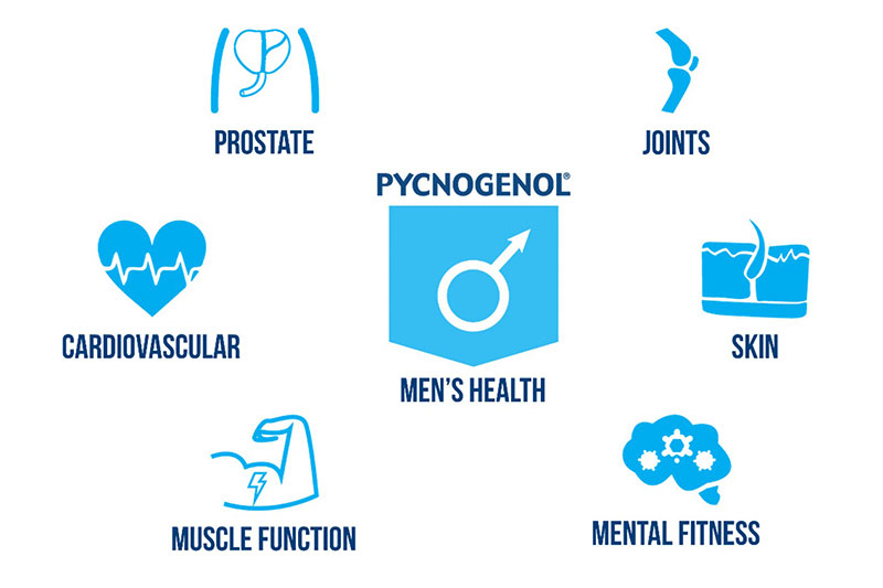 Pycnogenol for men: Supporting vitality, performance and healthy ageing