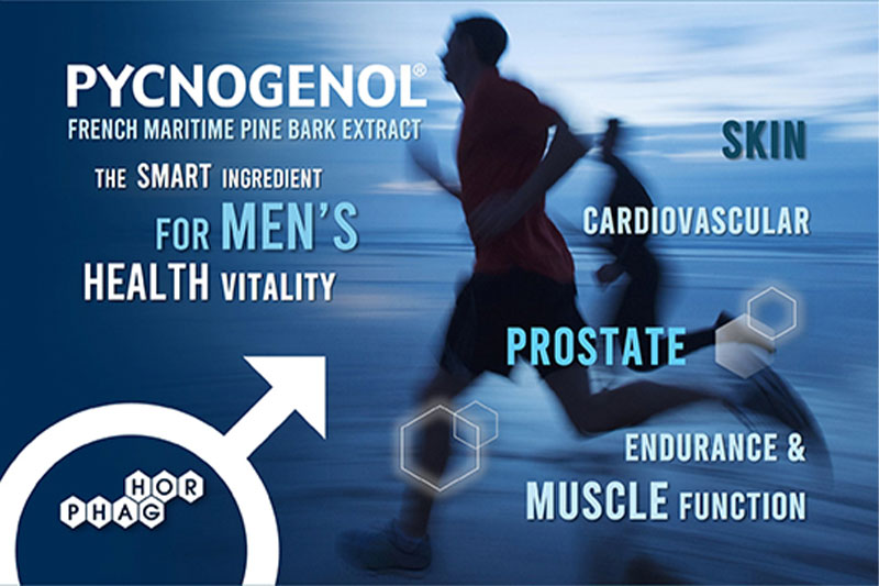 Pycnogenol for men: Supporting vitality, performance and healthy ageing